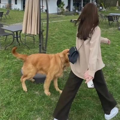 滑稽夫人